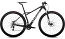 FateExpertCarbon29